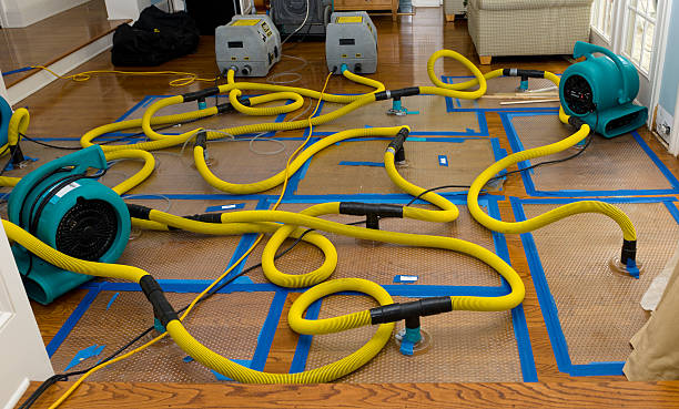 Professional Crawl Space Water Removal technician working in Bridgton, ME